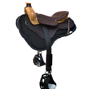 roc Postman 2 300x300